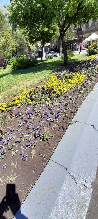 Продам участок в Аркадии. 5 соток. Под жилую застройку.