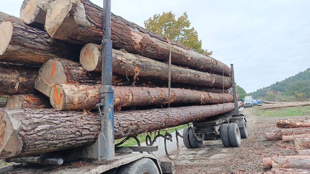 Drewno tartaczne jodła, sosna