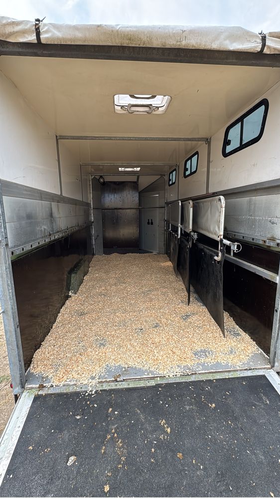 Transporte de Cavalos