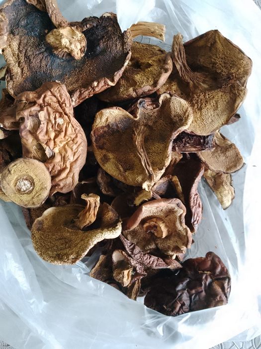 Sprzedam podgrzybki suszone gratis