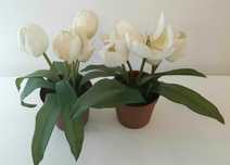 2 Flores IKEA (Artifíciais)