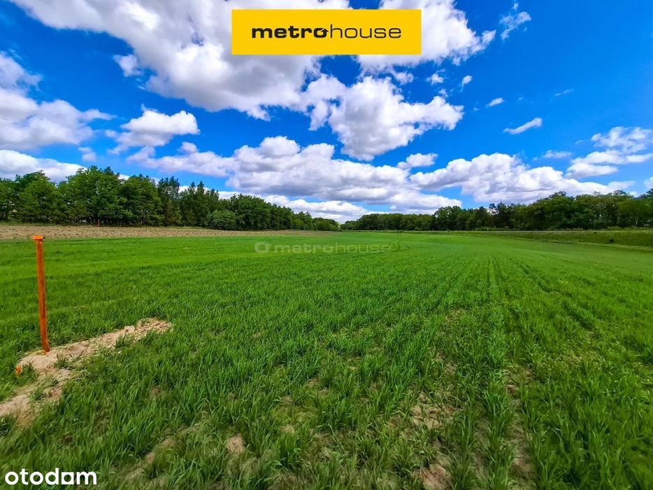 Duża działka rolna 4 km od Chojnic/Klawkowo