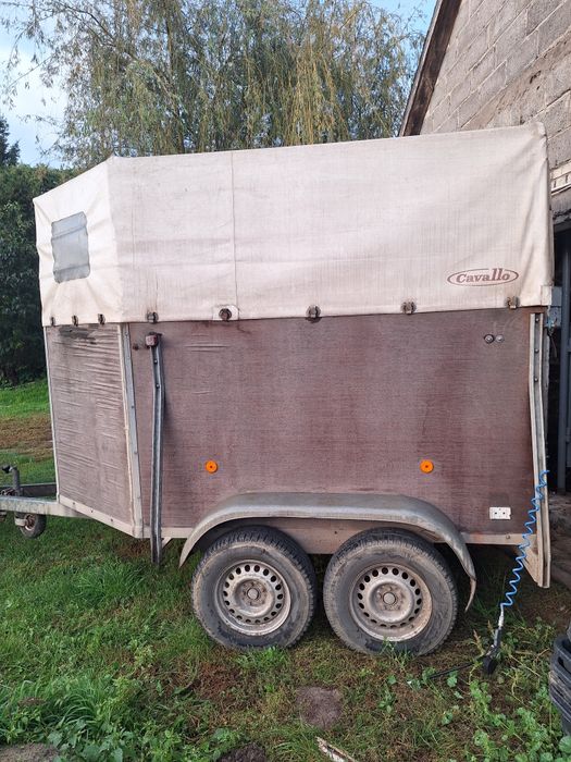 Przyczepa do koni  zwierząt.