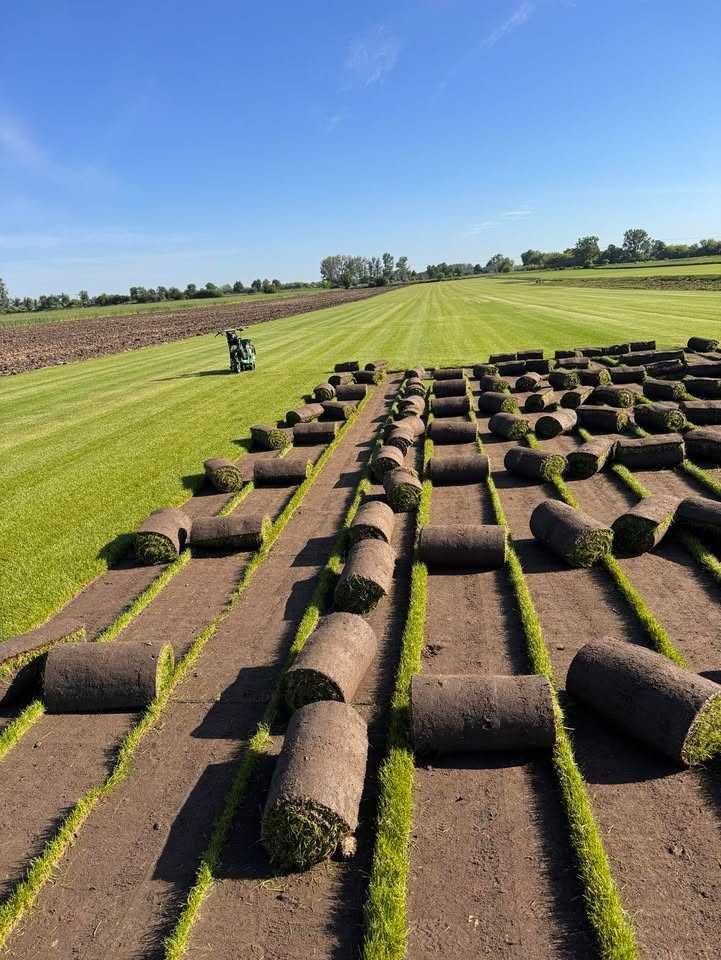 Trawa z rolki od producenta