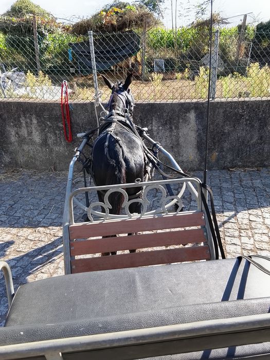 Machinho para venda