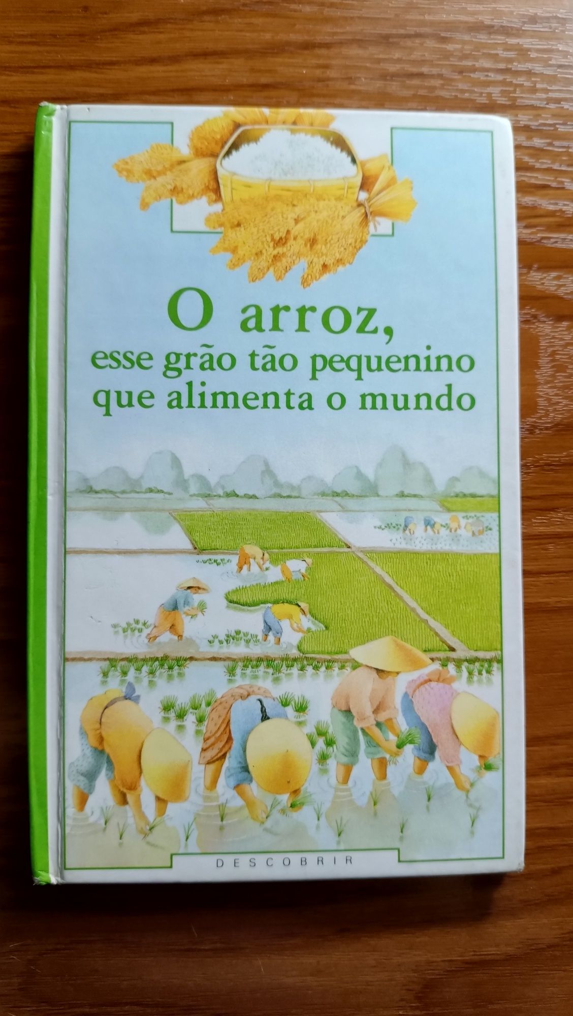 Sortido de livros didáticos infantis