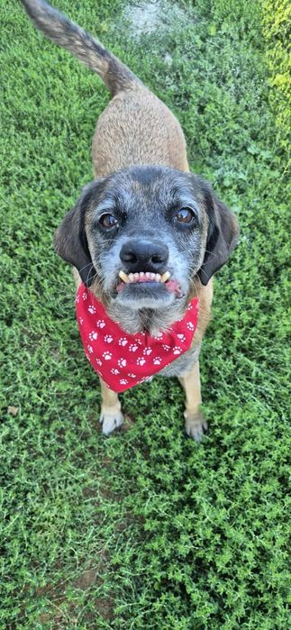 Wesoły chłopczyk szuka kochającego domu