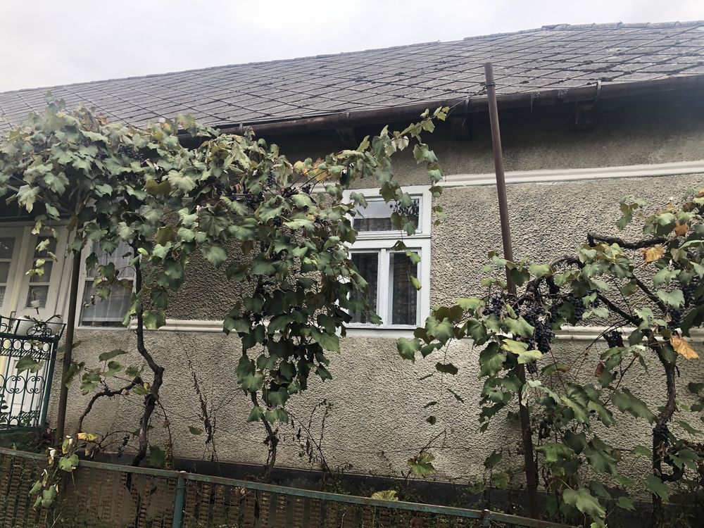 Продам затишний будтнок.