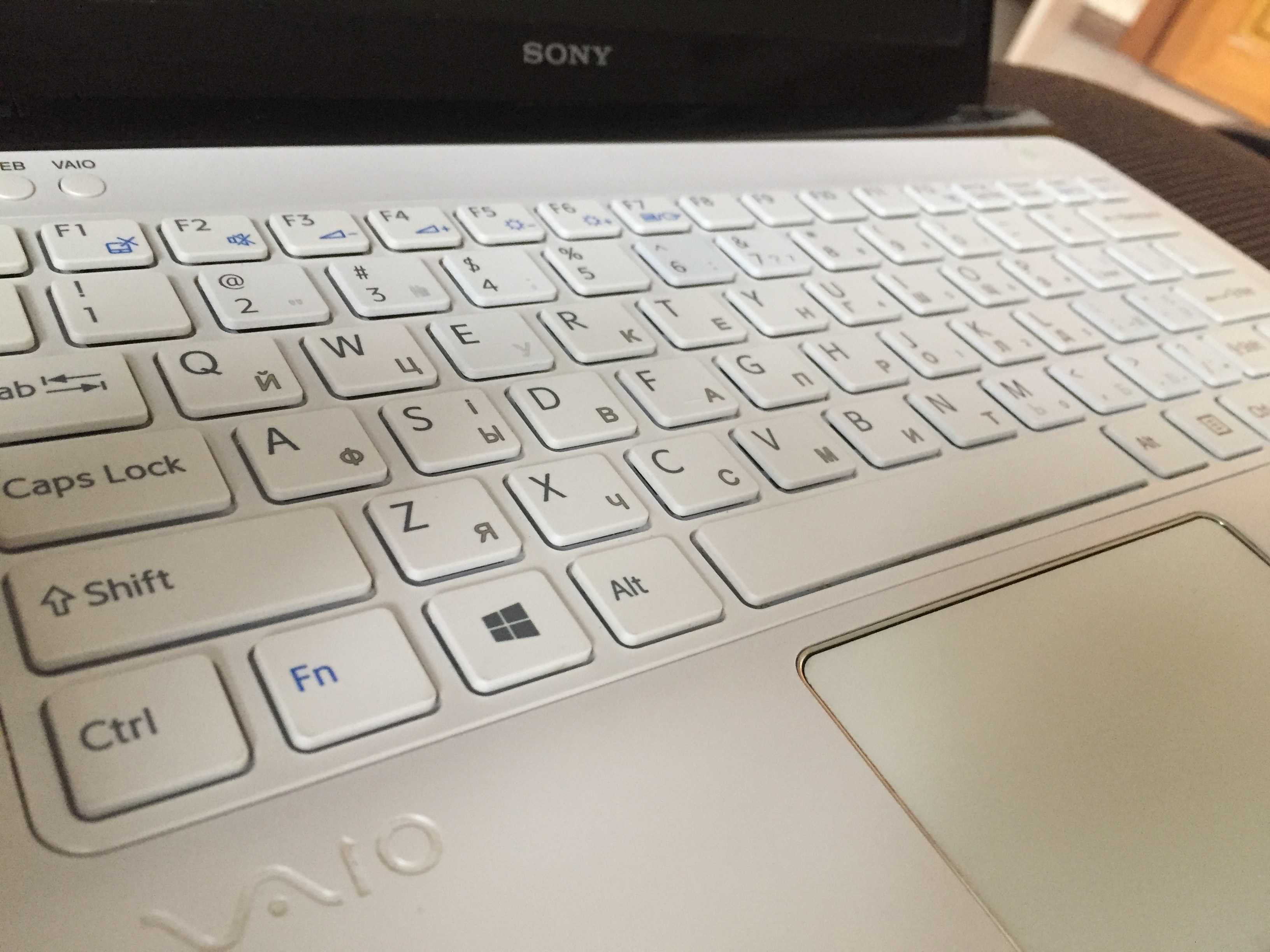 Нетбук Sony VAIO SVE1111M1EW