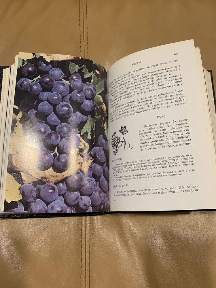 Livro ‘A Saúde pelos Alimentos’
