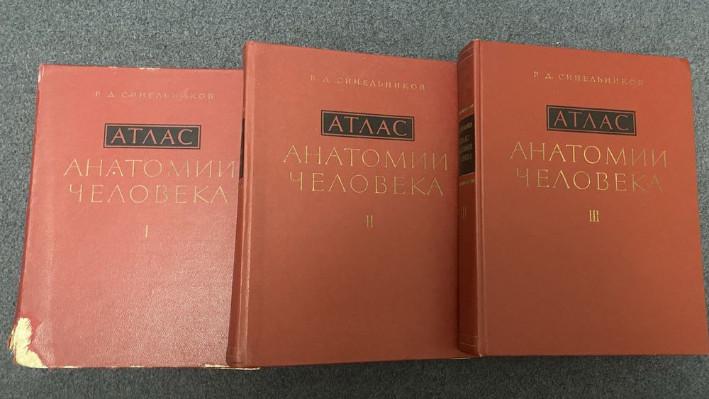 Атлас анатоміі людини