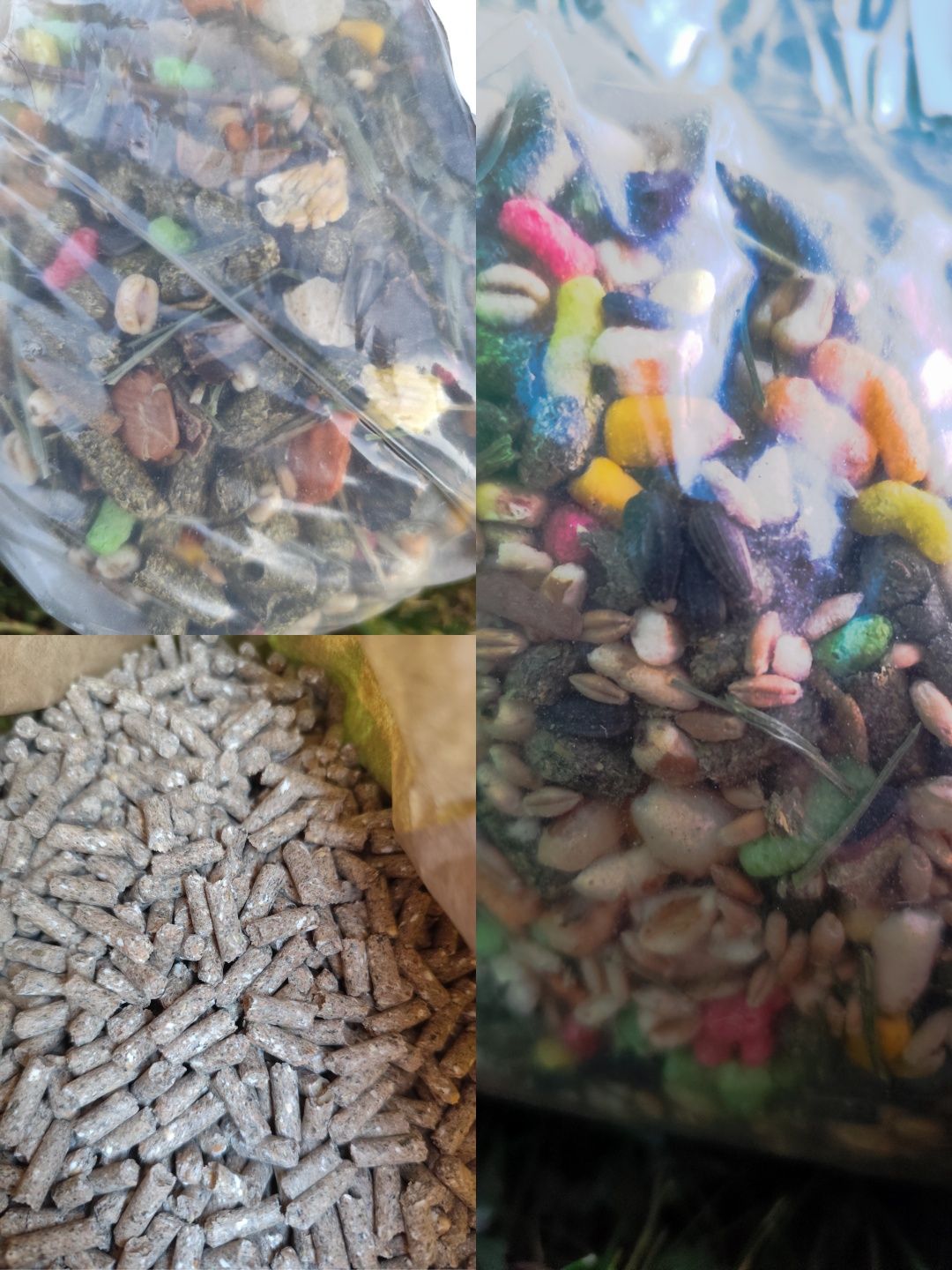 Zestaw dla królika
