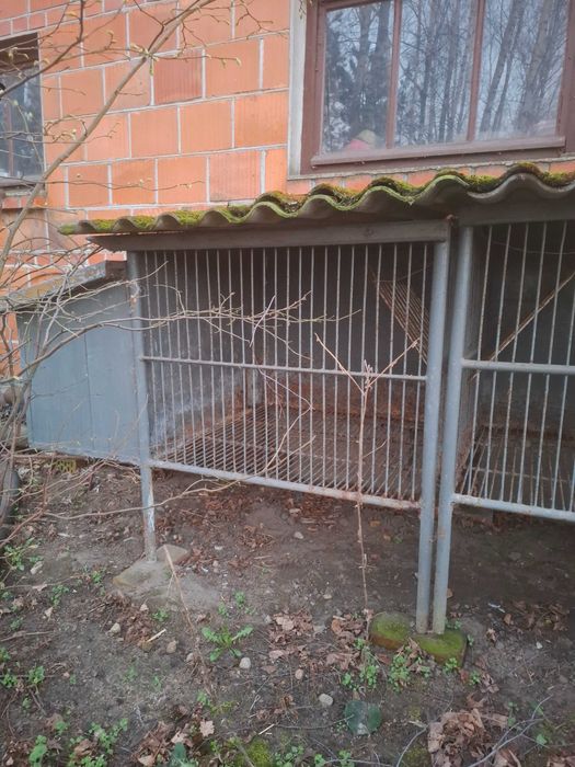 Klatki dla królików