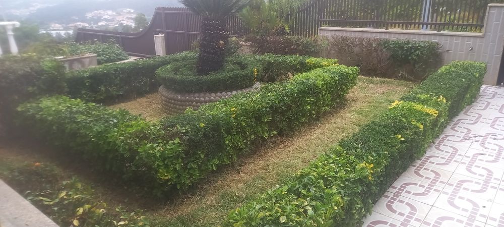 Serviços jardinagem
