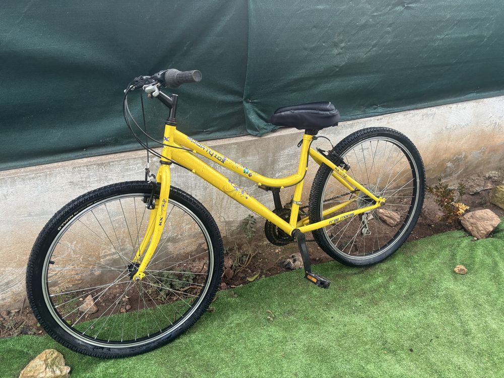 Bicicleta sporty
