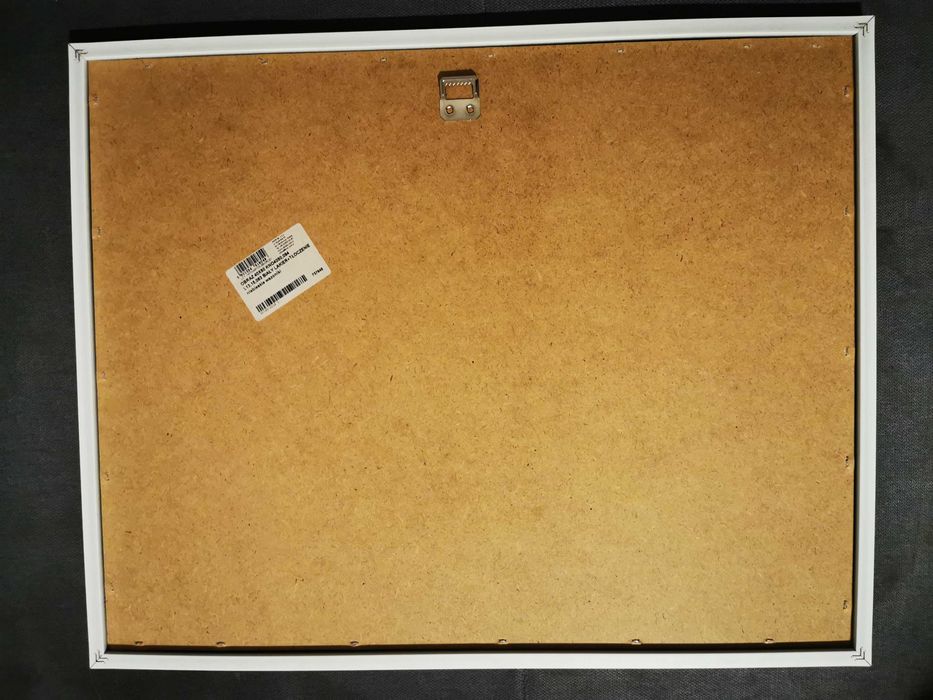 Obraz OBI Niebieskie Wazoniki 40x50 cm (używany, stan BDB)