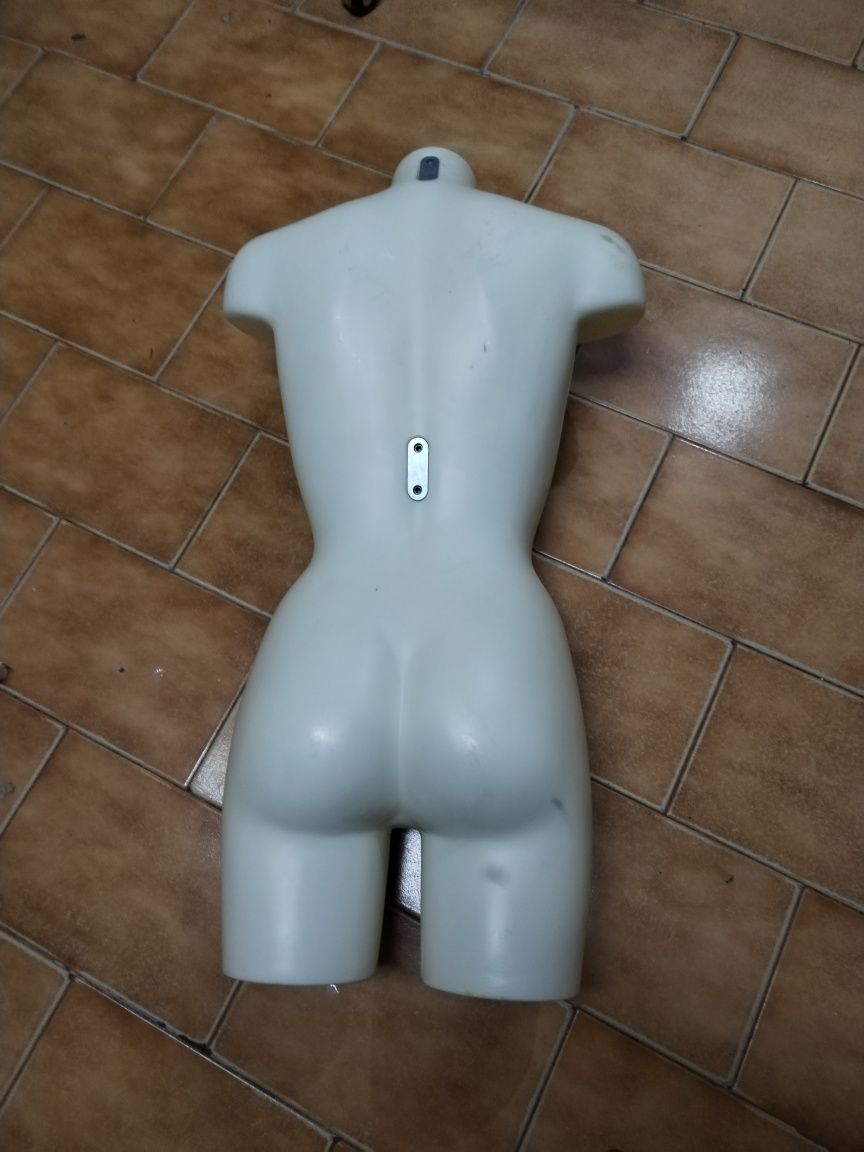 Busto de manequim feminino
