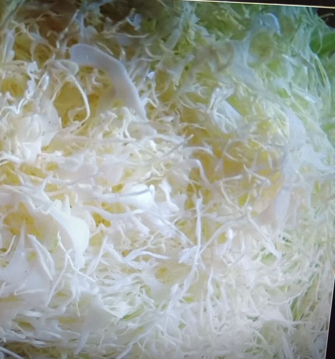 Szatkowana kapusta, kapusta do kiszenia