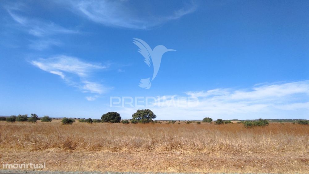 Terreno Agrícola de Sequeiro para venda – 12 Hectares