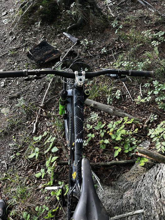 yt capra cor 1 custom