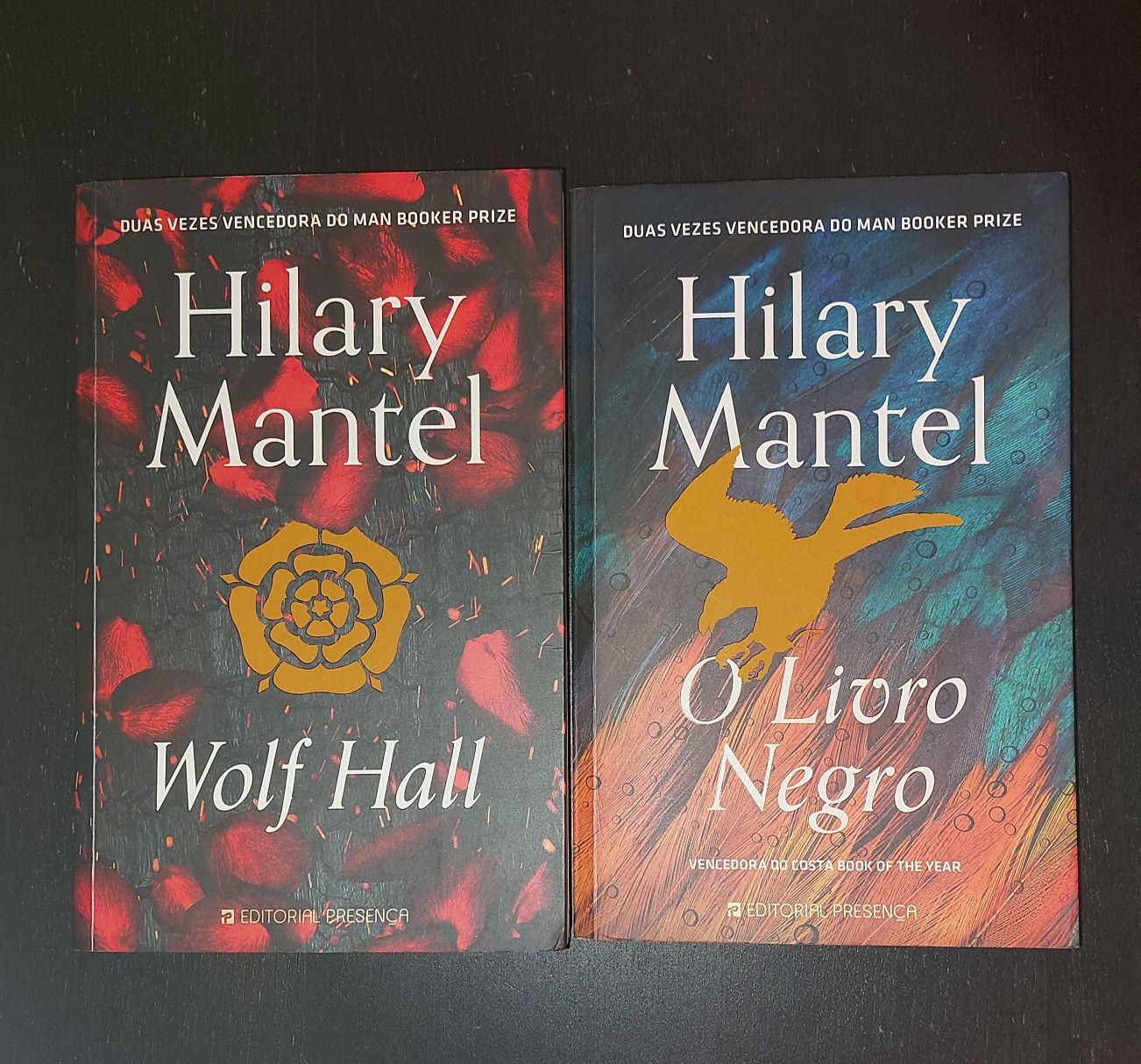 Wolf Hall e O livro negro, de Hilary Mantel