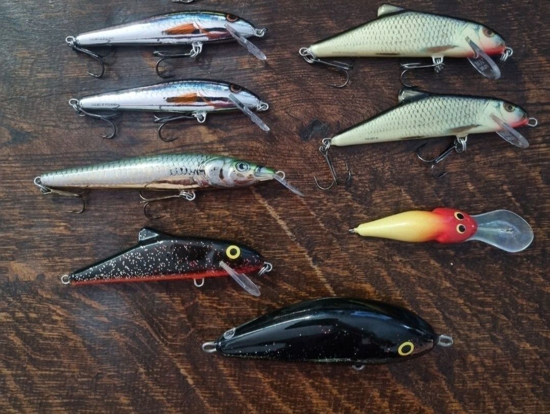 Salmo Skinner 10 RGS i SNO , Fatso 10 SNO F, Minnow 9 S inne