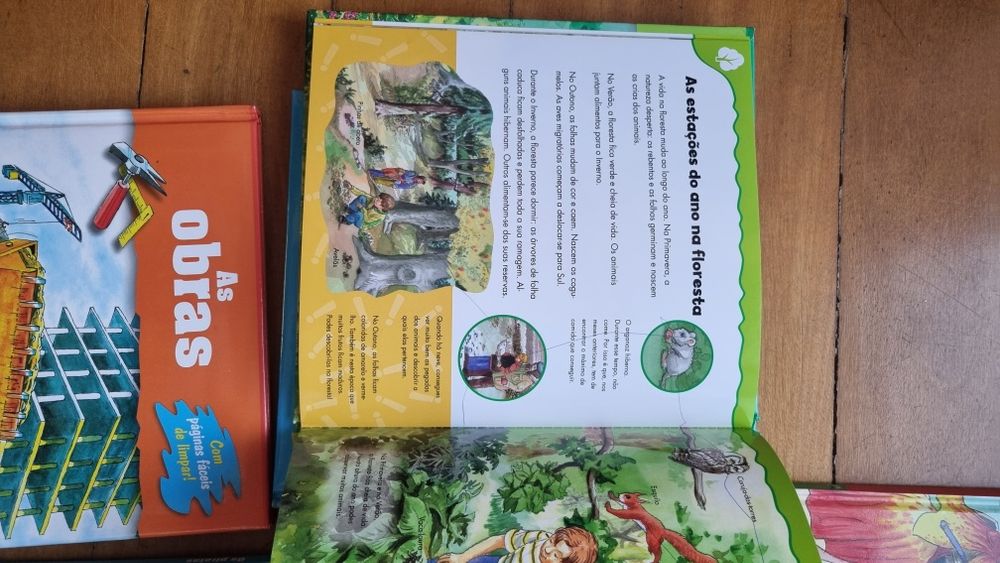Livros infantis com boas ilustrações