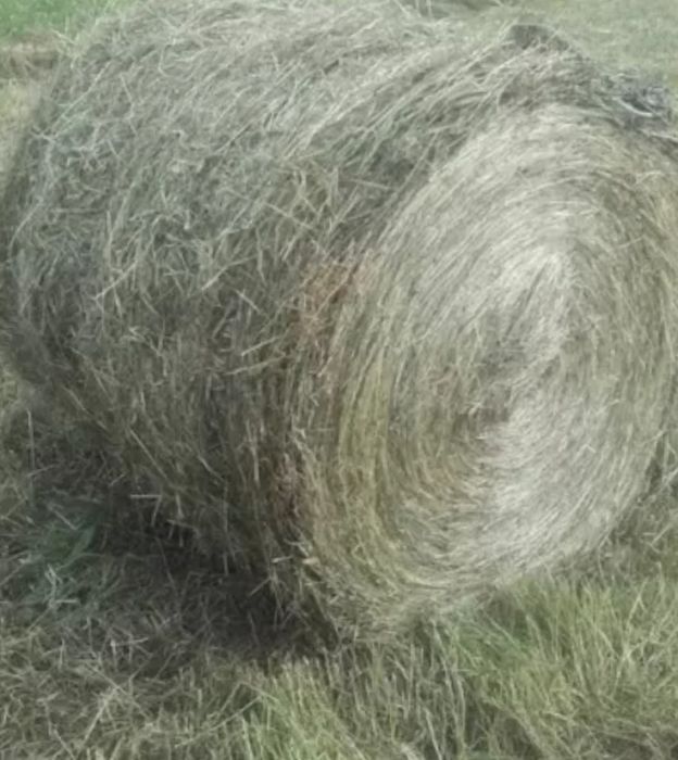 Siano z magazynu -transport