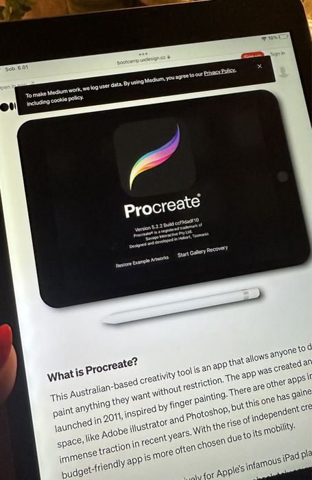 Tablet iPad Apple Retina - TOUCH ID - PROCREATE