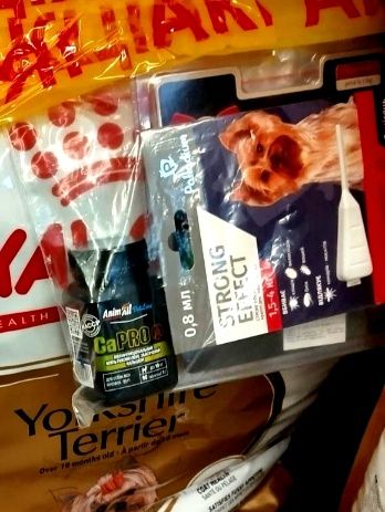 Корм Royal для собак (с подаркам)и