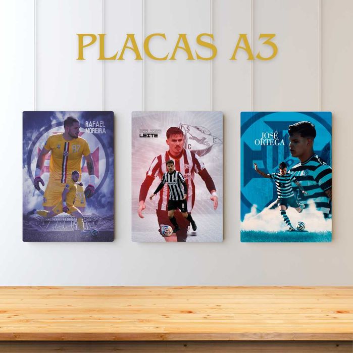 Placas e Quadros -  Persoanlizados à medida