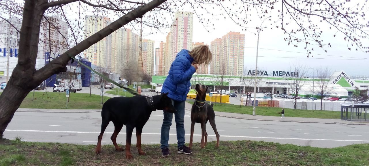 Дівчата -добермани з підпалом