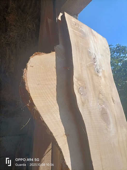 Chapas de Madeira macissa