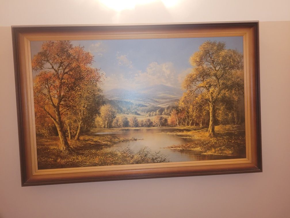 Obraz ,,piękno natury" Okazja!!!