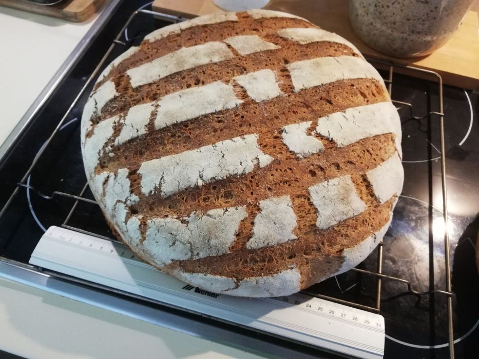 Szlachetny zakwas żytni 16 letni,bardzo mocny,idealny na pyszny chleb