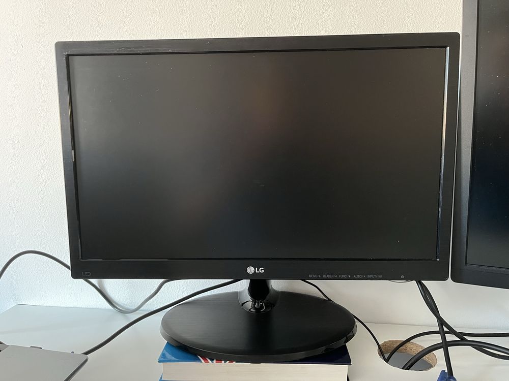 Monitor LG 19M38A-B sprzedam tanio