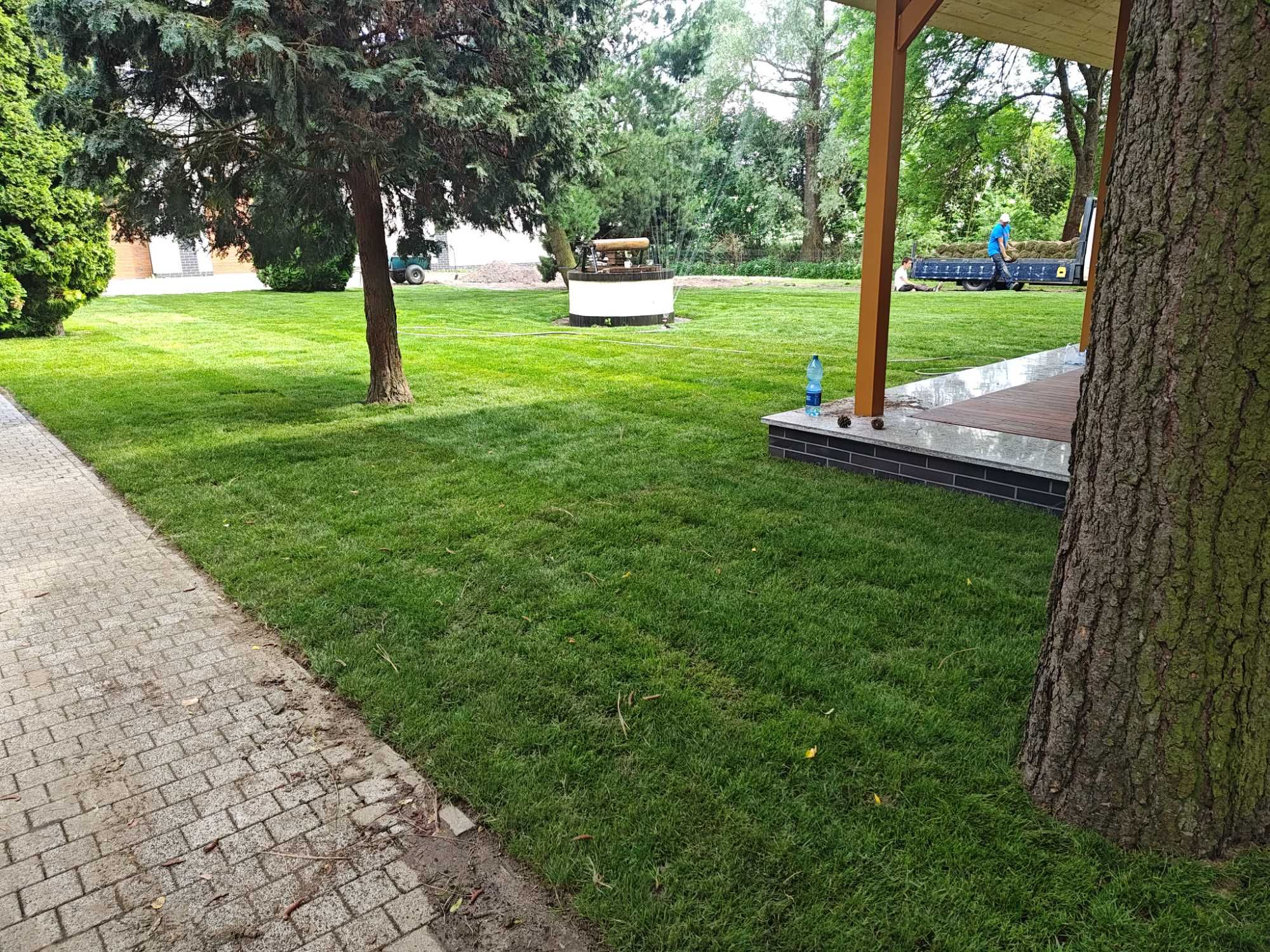Trawa z rolki, producent, premium