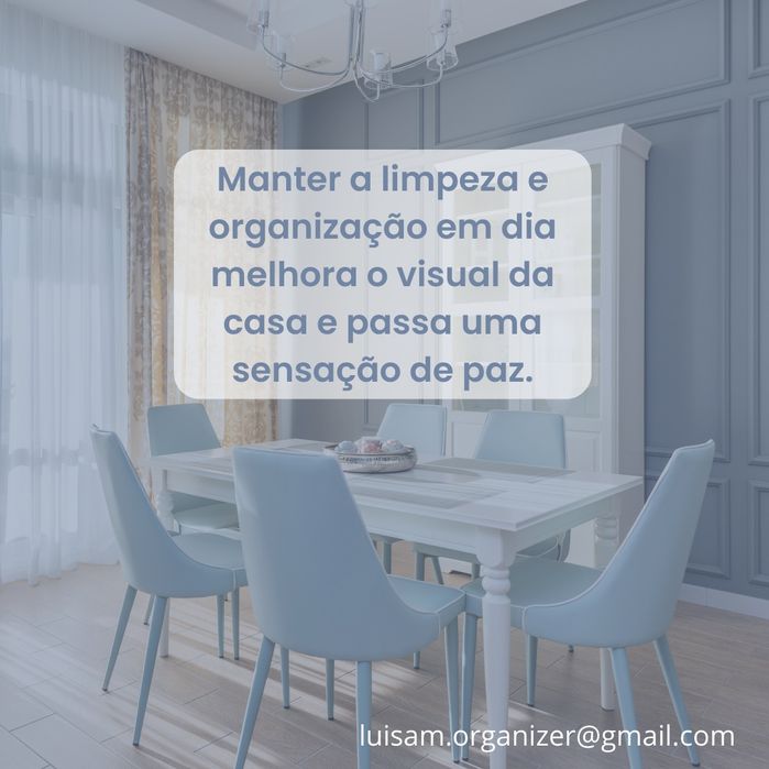 Limpeza e Organização