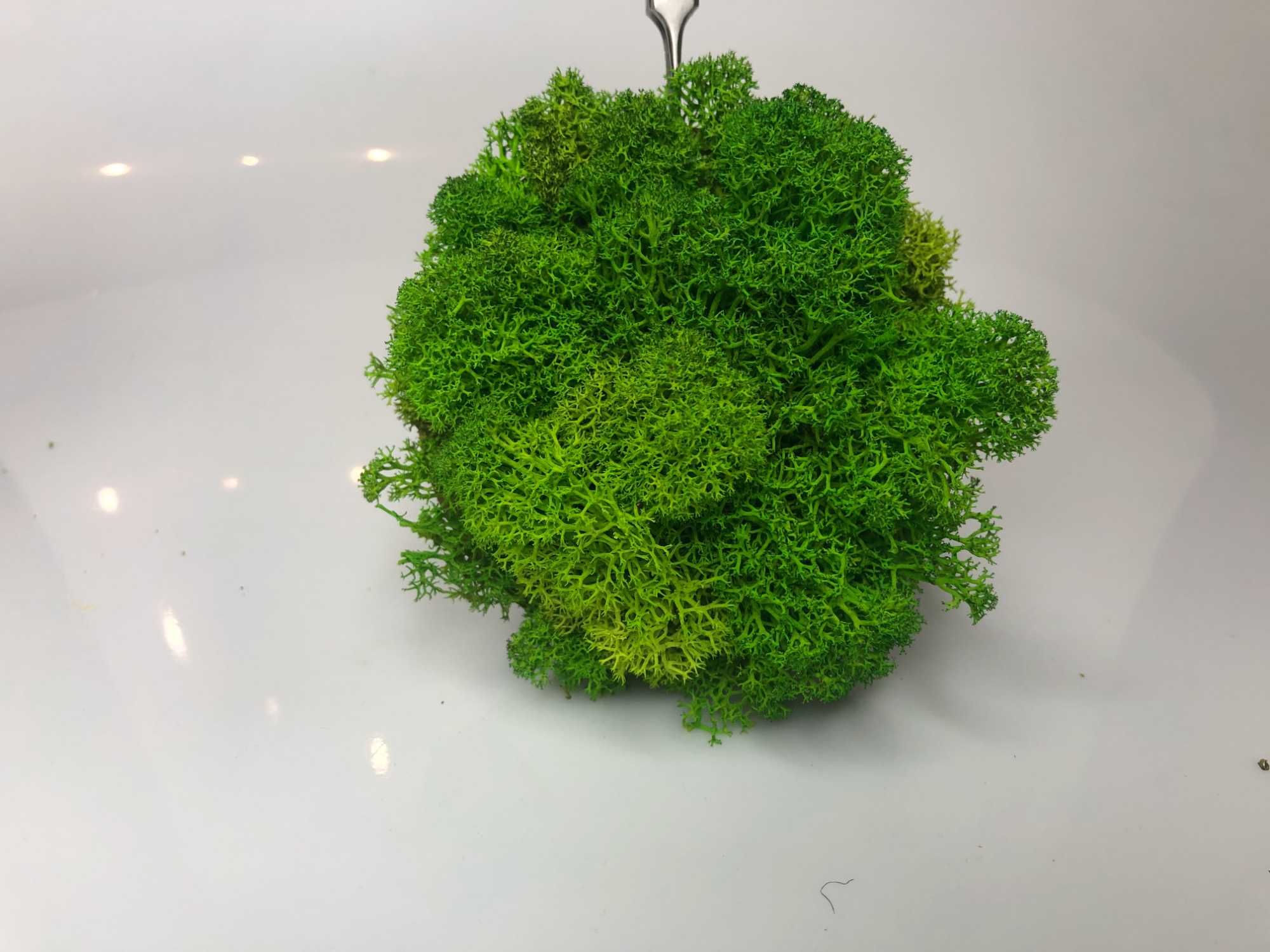 3 x Dekoracja z mchu średnica 10 cm