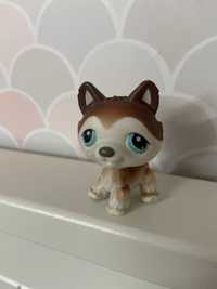 Littlest Pet Shop Piesek