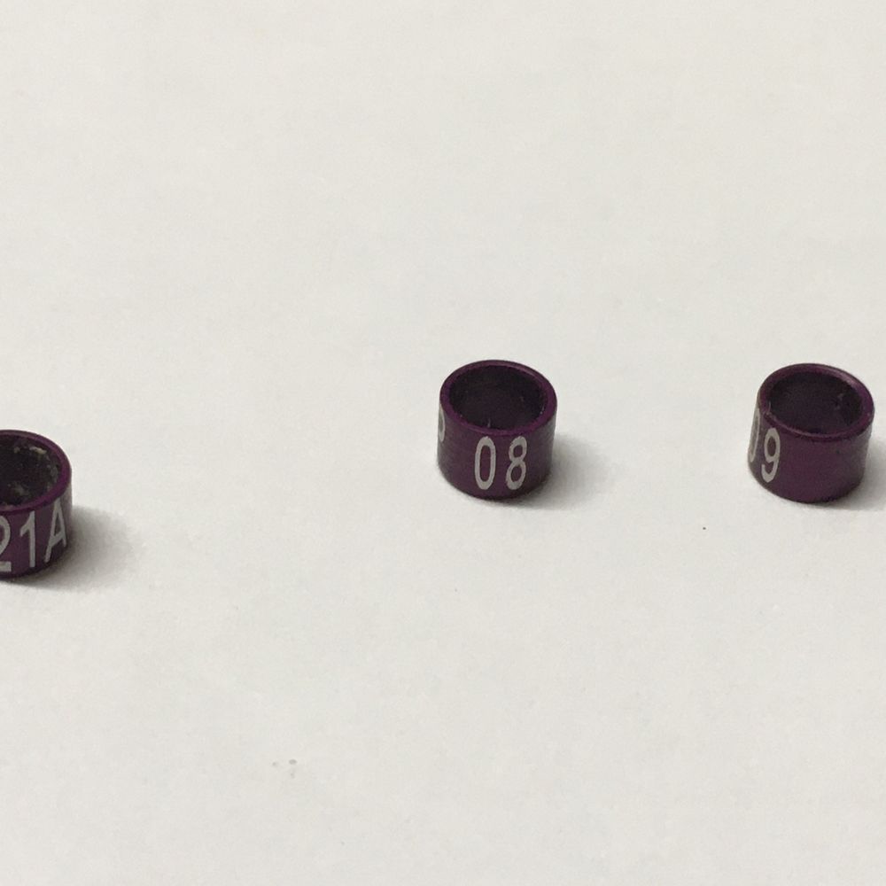 8 anilhas 4mm numeradas