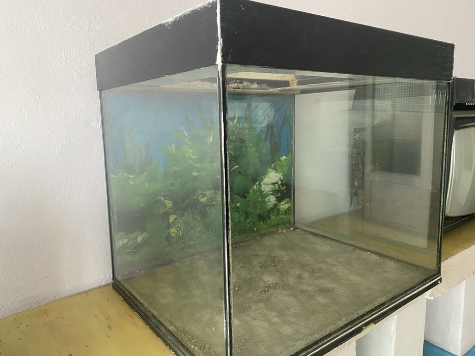 Аквариум размер 800х700 глубина 600