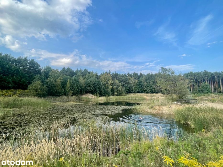 Bezpośrednio - sielska działka nad stawem koło lasu - Tarczyn.