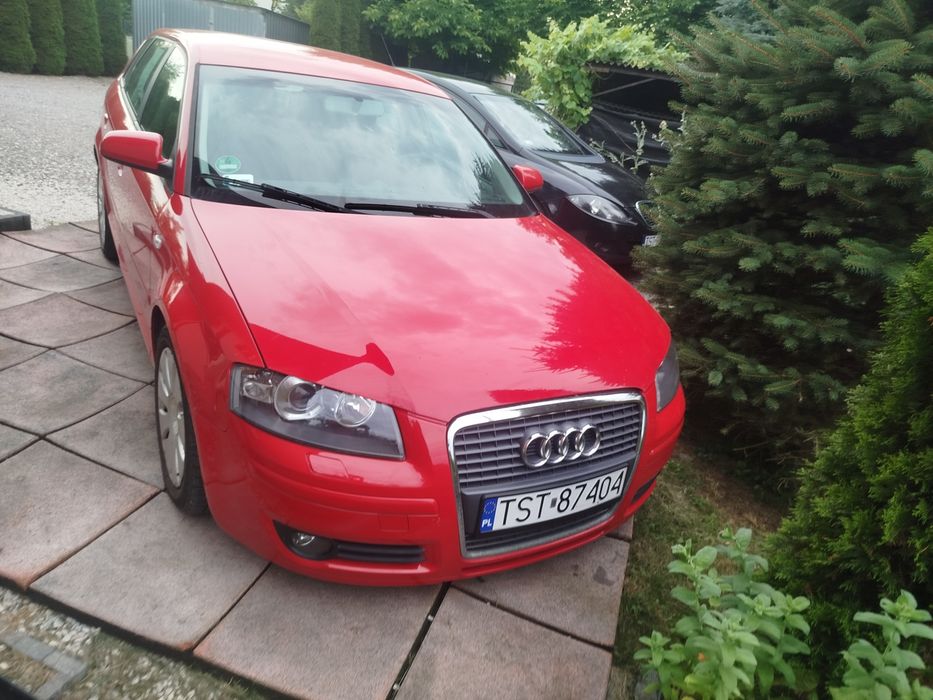 Audi A3 8P 2.0 TDI