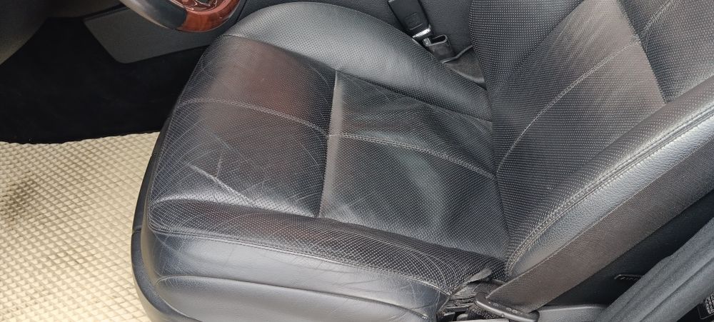 Без жодного підкрасу, один с живих мурчиків на самому правильному двиг