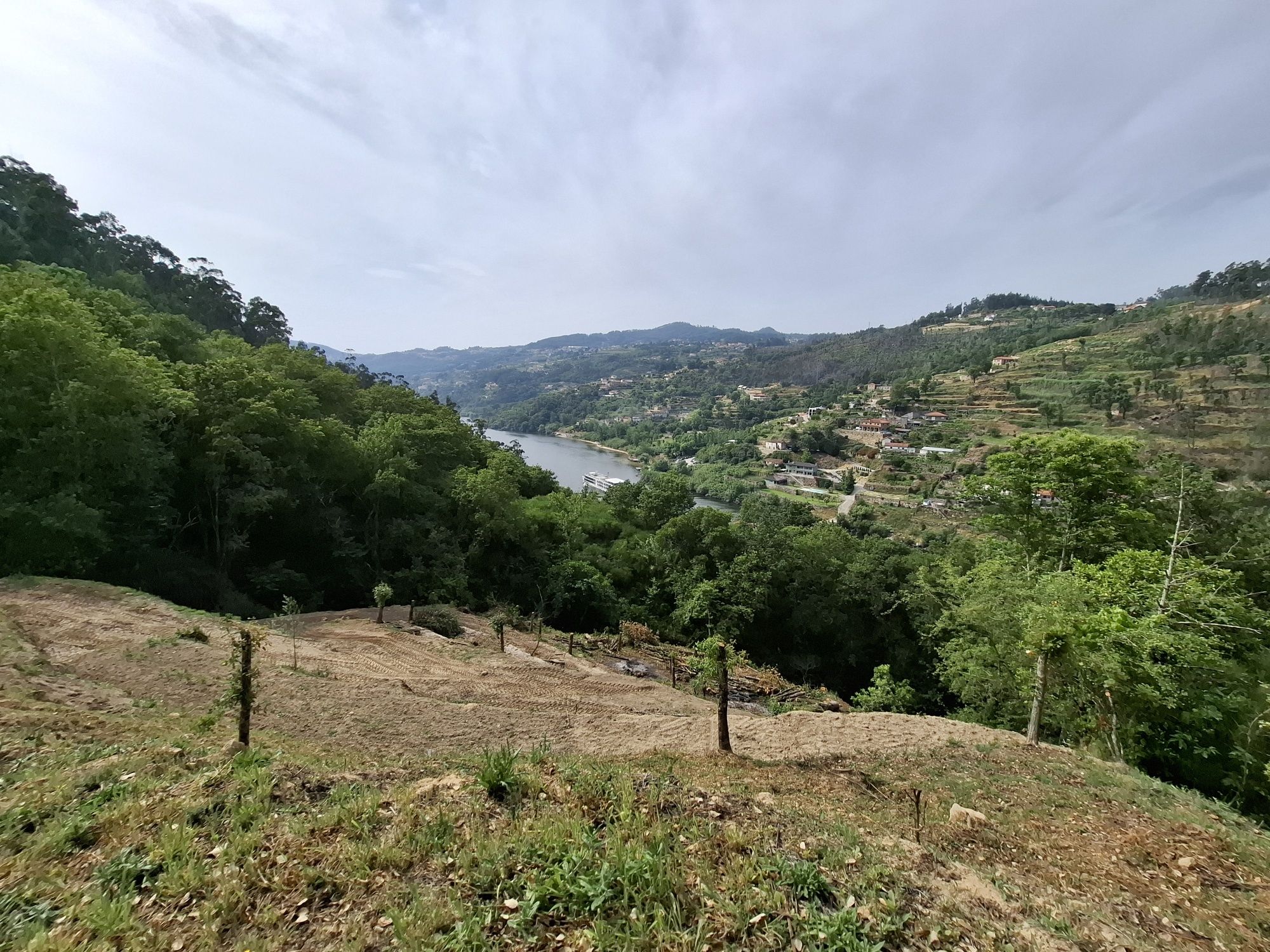 Ruína de moinho, ribeiros, nascente e vista Douro - 3.860m² em Cinfães