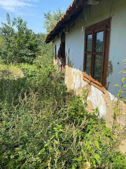 Ділянка біля лісу
