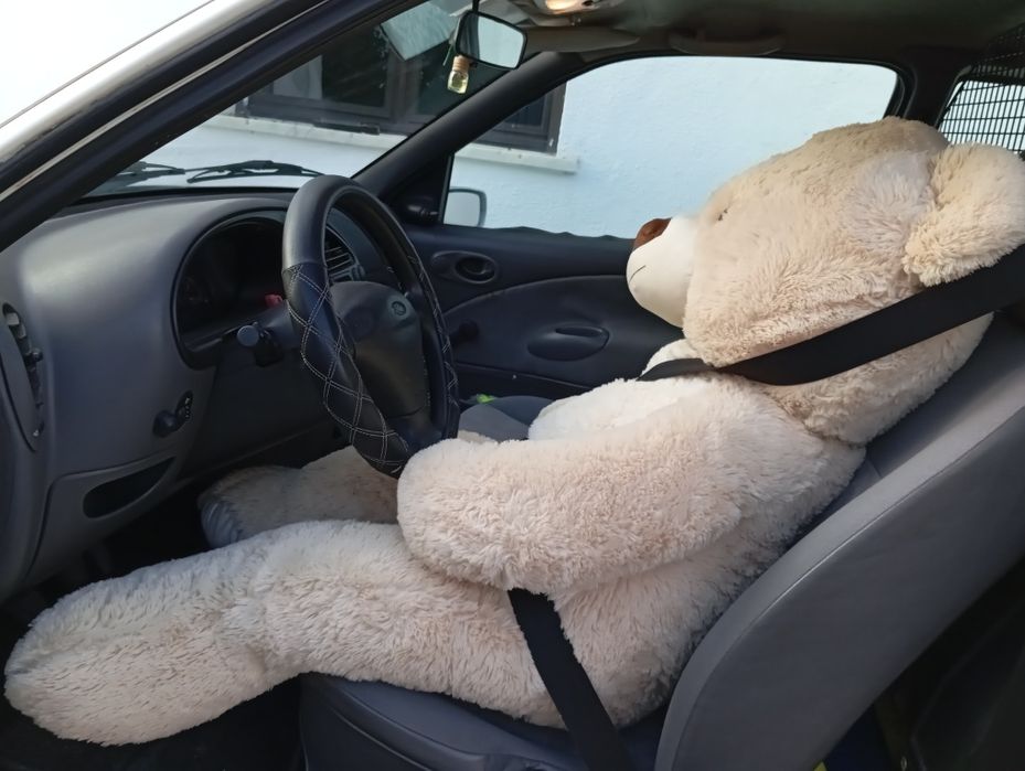 Urso de peluche gigante!
