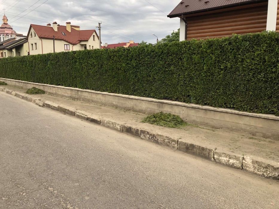 Стрижка туй, живоплоту. Чистка території,обрізка дерев,догляд за садом