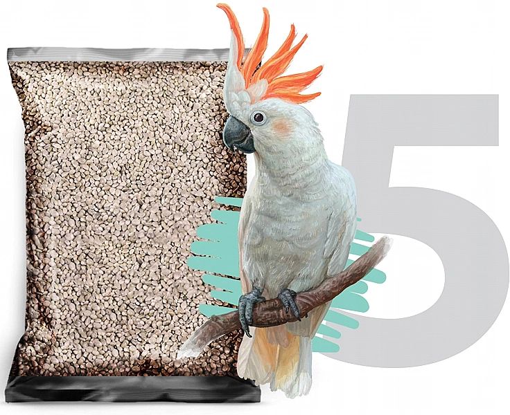 5kg Sorgo białe DARI karma pasza dla ptaków papug średnich i dużych